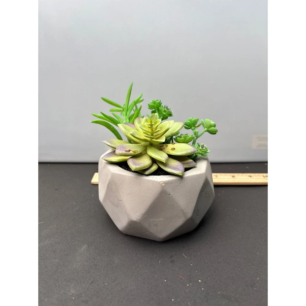 Artificial Succulent Plant Arrangement in Geometric Concrete Pot‎
